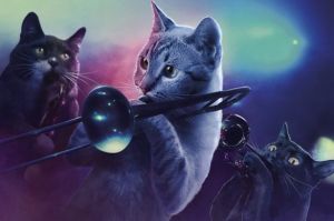 image-8-cats-352717982